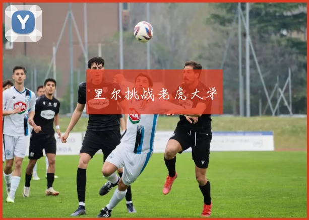 里尔挑战老虎大学