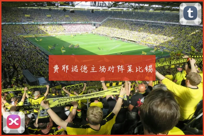 费耶诺德主场对阵莱比锡