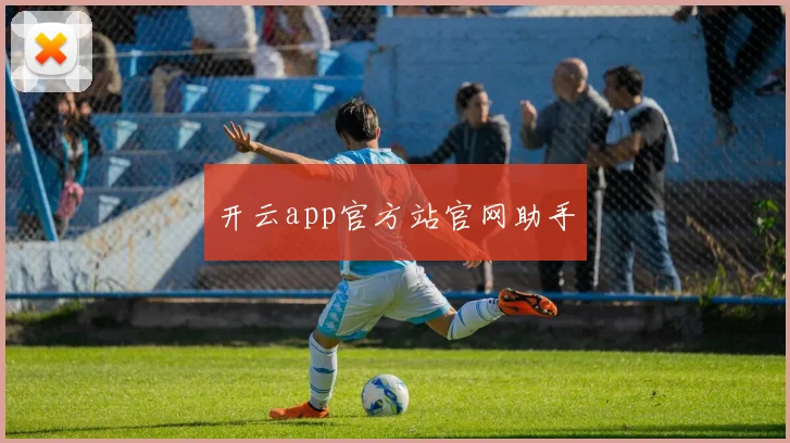 开云app官方站官网助手