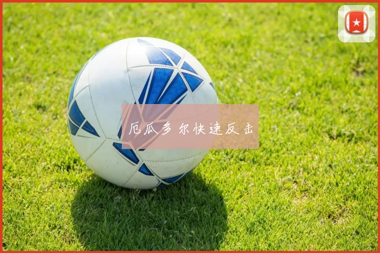 厄瓜多尔快速反击