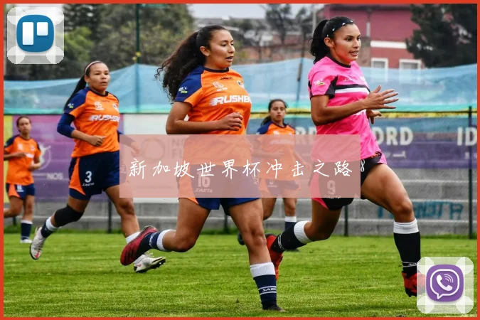 新加坡世界杯冲击之路