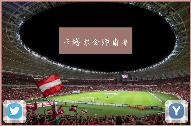 卡塔尔会师南非
