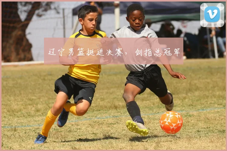 辽宁男篮挺进决赛，剑指总冠军