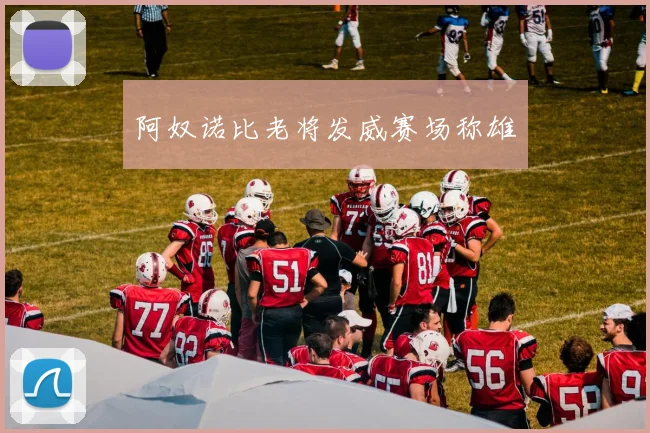 阿奴诺比老将发威赛场称雄