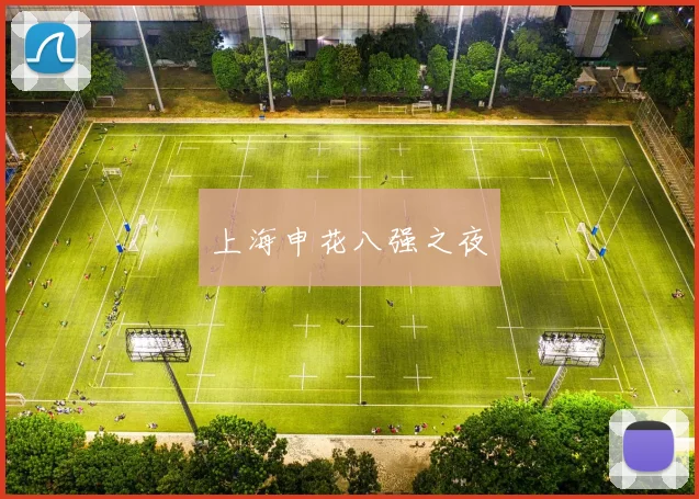 上海申花八强之夜