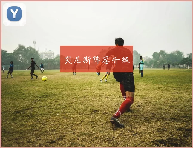 突尼斯阵容升级