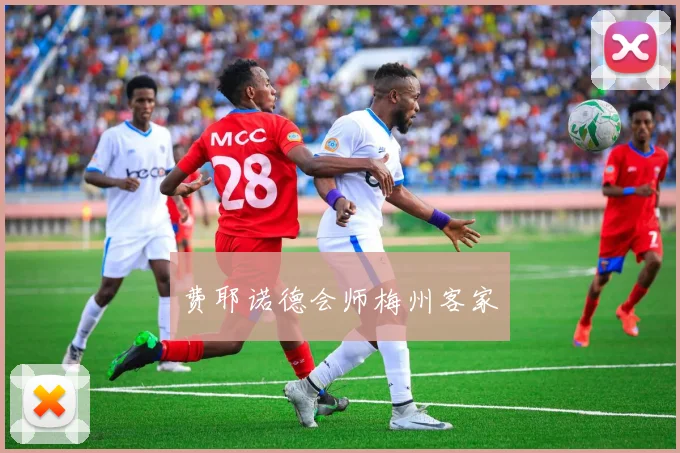 费耶诺德会师梅州客家