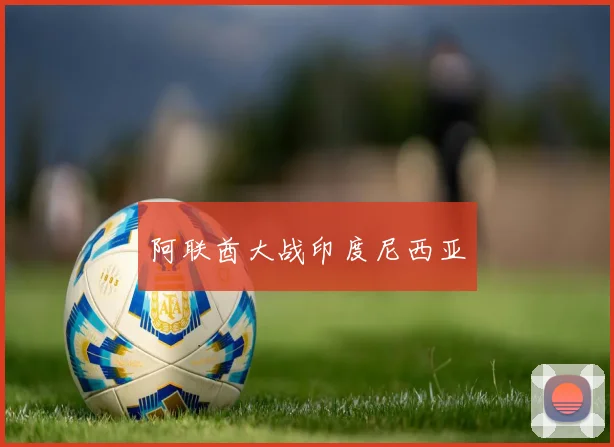 阿联酋大战印度尼西亚