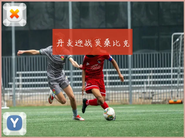 丹麦迎战莫桑比克
