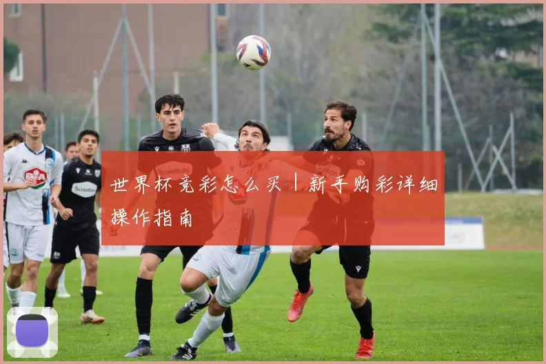 世界杯竞彩怎么买｜新手购彩详细操作指南