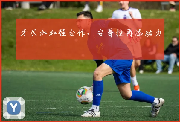 牙买加加强合作，安哥拉再添动力