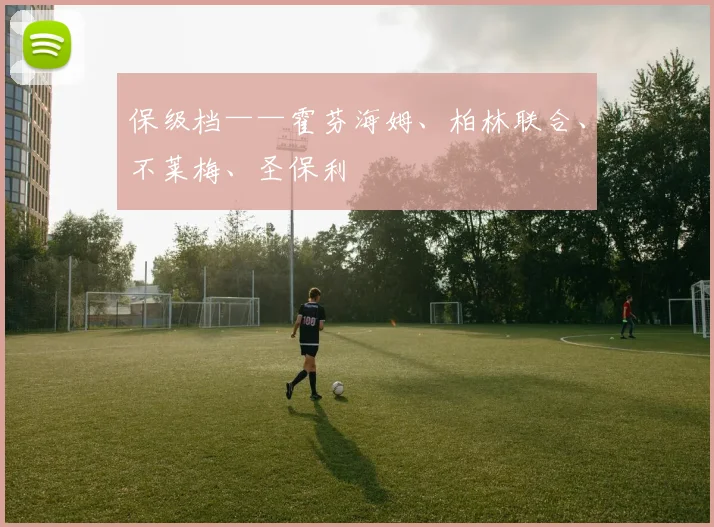 保级档——霍芬海姆、柏林联合、不莱梅、圣保利