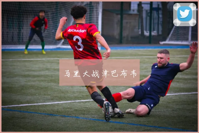 马里大战津巴布韦