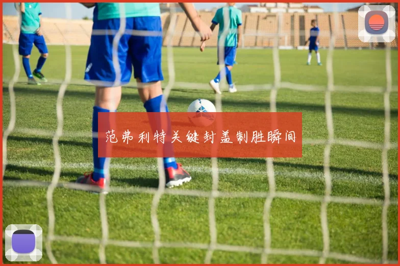 范弗利特关键封盖制胜瞬间