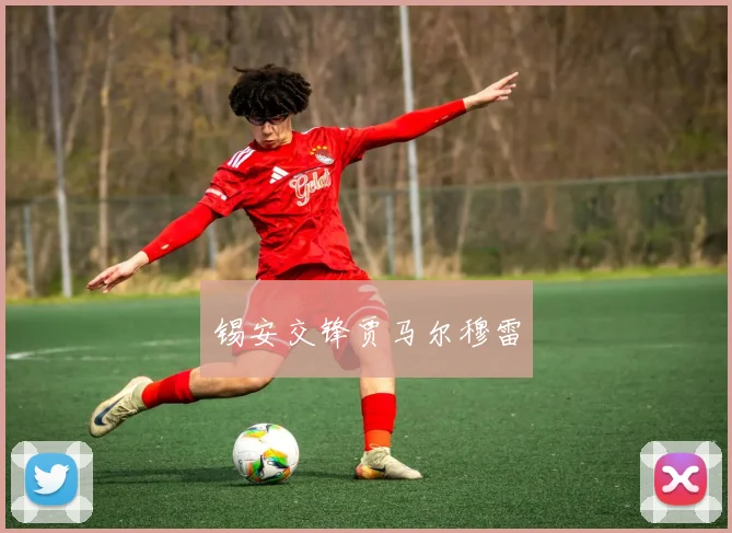 锡安交锋贾马尔穆雷