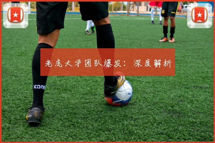 老虎大学团队爆发：深度解析