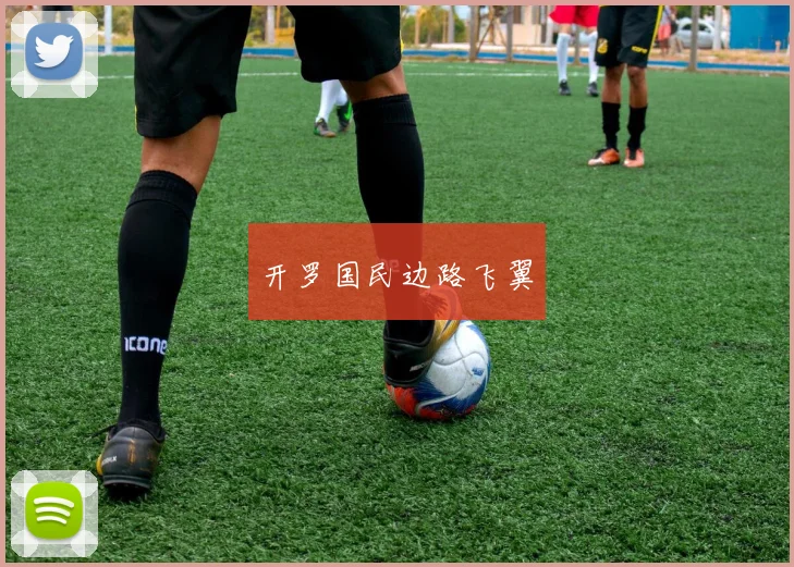 开罗国民边路飞翼