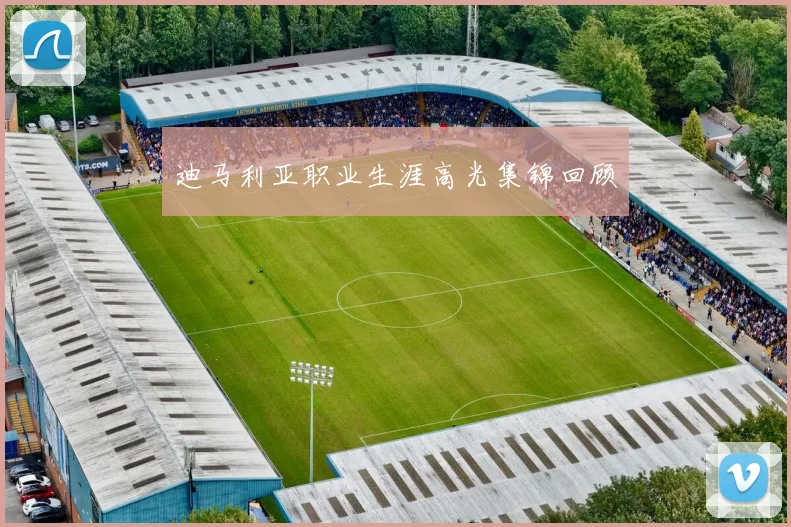 迪马利亚职业生涯高光集锦回顾