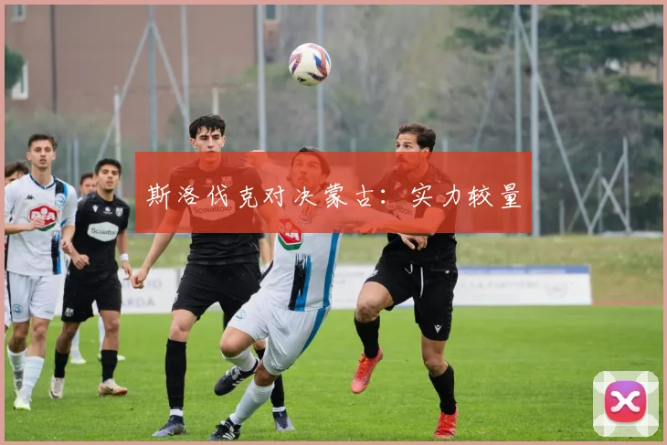 斯洛伐克对决蒙古：实力较量