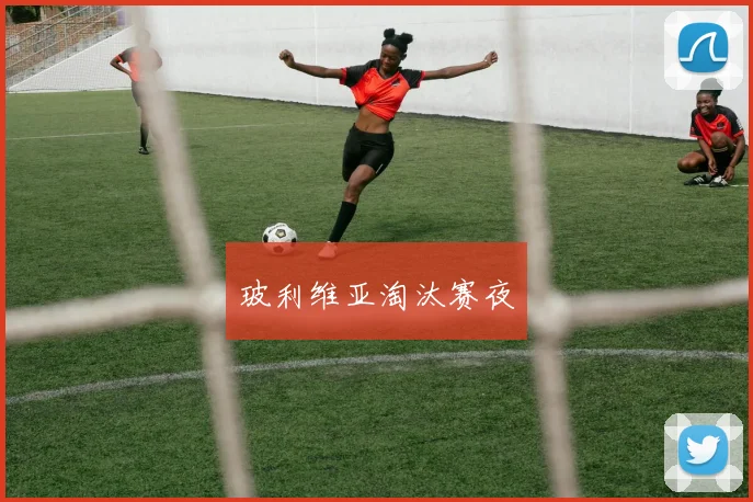 玻利维亚淘汰赛夜