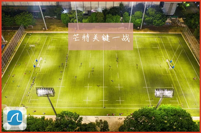 芒特关键一战