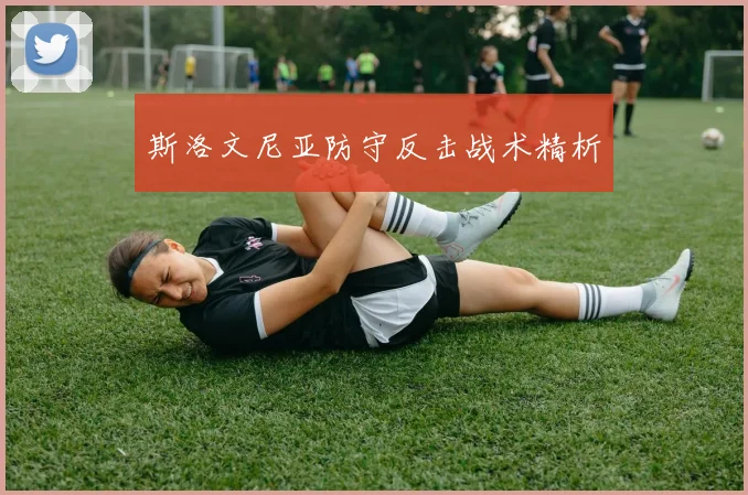 斯洛文尼亚防守反击战术精析