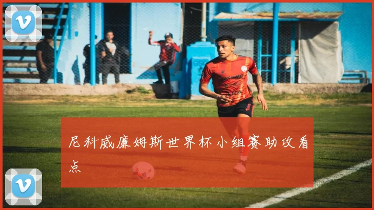 尼科威廉姆斯世界杯小组赛助攻看点
