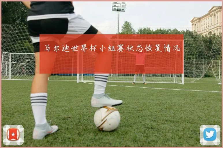 马尔迪世界杯小组赛状态恢复情况
