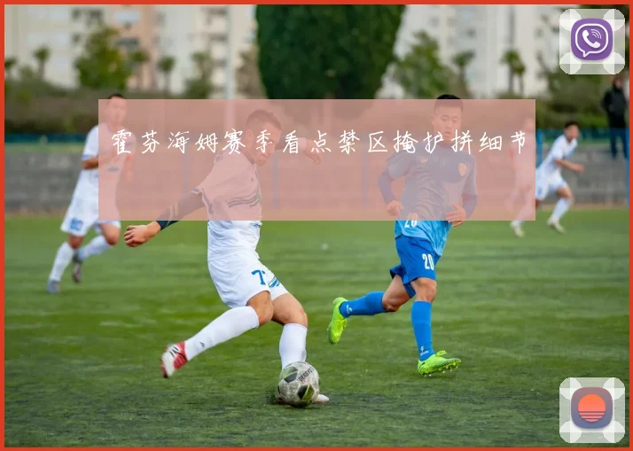 霍芬海姆赛季看点禁区掩护拼细节