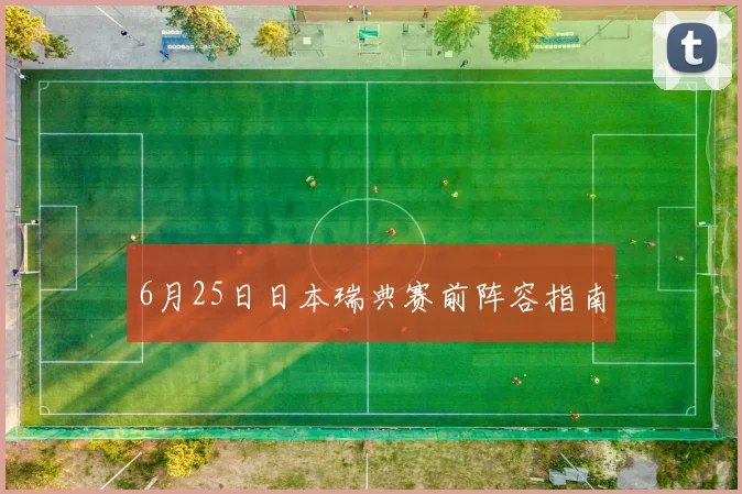 6月25日日本瑞典赛前阵容指南