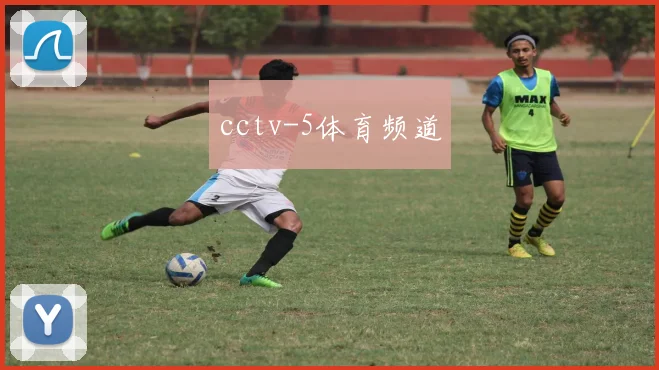 cctv-5体育频道