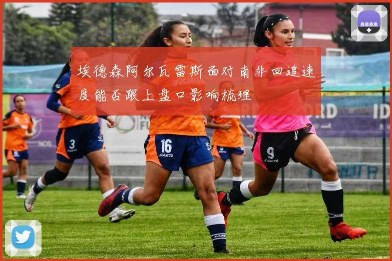 埃德森阿尔瓦雷斯面对南非回追速度能否跟上盘口影响梳理